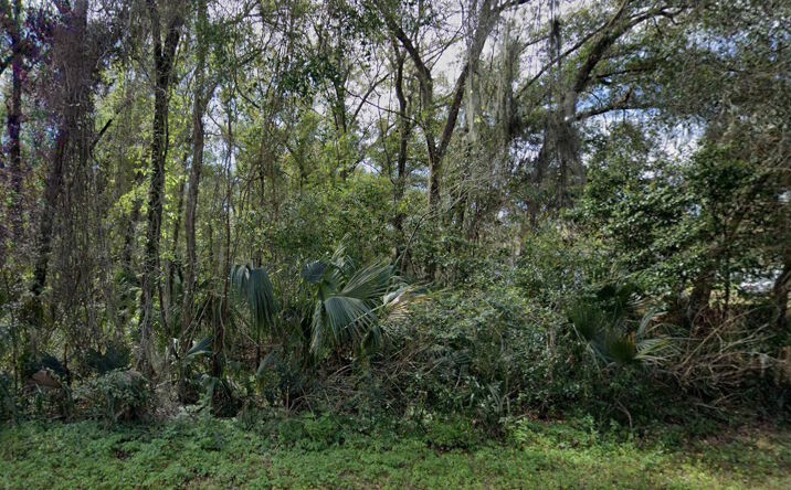 Pictures of Land property located at Niles St, Mount Plymouth, FL 32776 for sales - image #1
