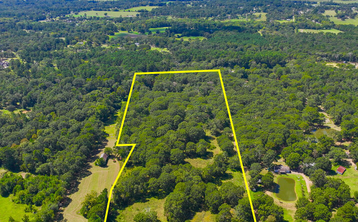 Pictures of Land property located at 1 Mt Zion Rd, New Waverly, TX 77358 for sales - image #1