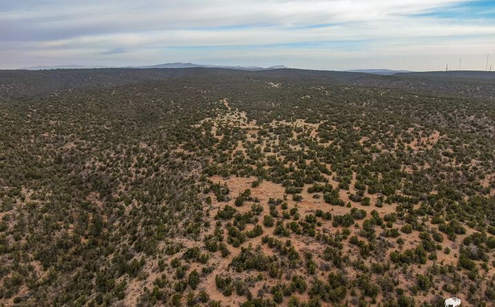 Pictures of Land property located at TBD Private Dr, Gonzales Ranch, NM 87560 for sales - image #1