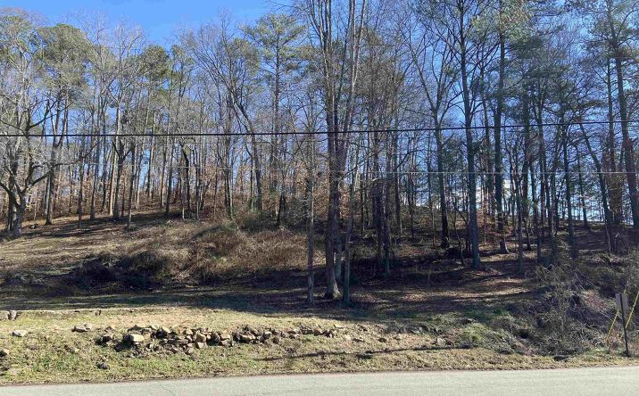 Pictures of Land property located at 112 Robinson St, Springville, AL 35146 for sales - image #1