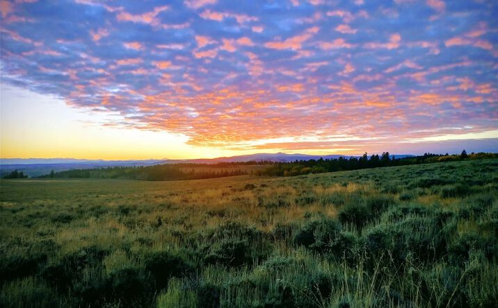 Pictures of Land property located at TBD Monarch Lane, Powderhorn, CO 81243 for sales - image #1