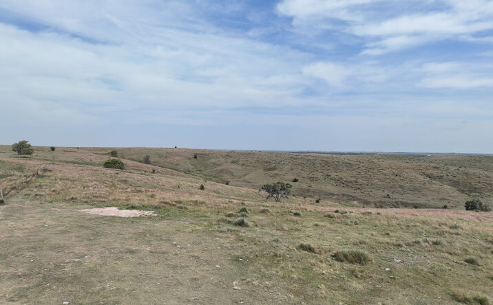 Pictures of Land property located at Road 718, Oxford, NE 68967 for sales - image #1