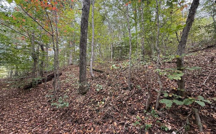 Pictures of Land, Multifamily property located at TBD Highland Ave, Richlands, VA 24641 for sales - image #1