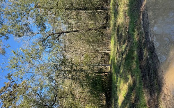 Pictures of Land property located at 412 Cherokee Forest Lane, Livingston, TX 77351 for sales - image #1