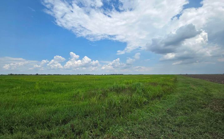 Pictures of Land property located at 23823 Juniper Road, Kaplan, LA 70548 for sales - image #1