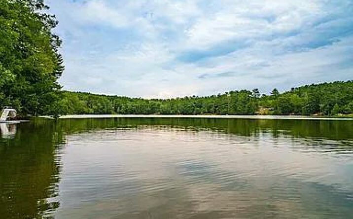 Pictures of Land property located at Bodine Lake Road, Eldred, NY 12732 for sales - image #1
