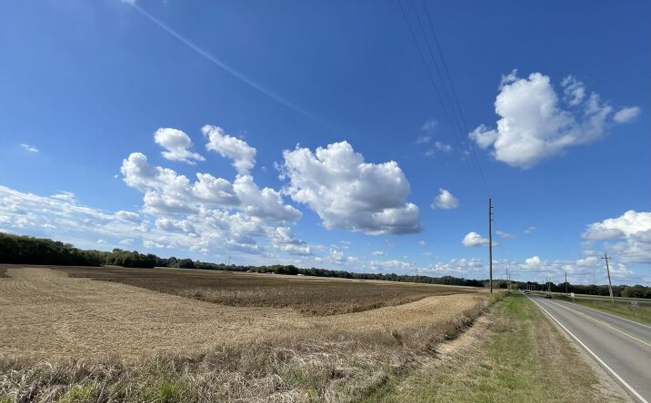 Pictures of Land property located at County Hwy 21 & Bell Grayson, Demopolis, AL 36732 for sales - image #1