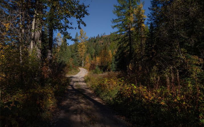 Pictures of Land property located at NHN Kelly Mountain Road, Columbia Falls, MT 59912 for sales - image #1