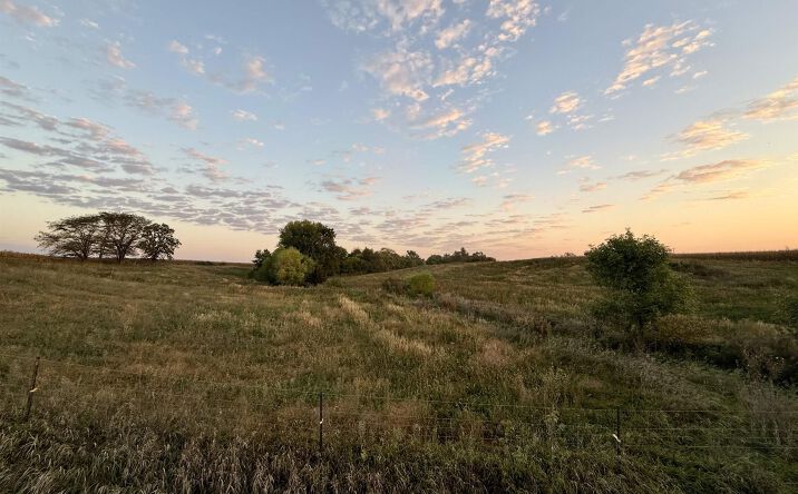 Pictures of Land property located at 255th, Jefferson, IA 50129-7705 for sales - image #1