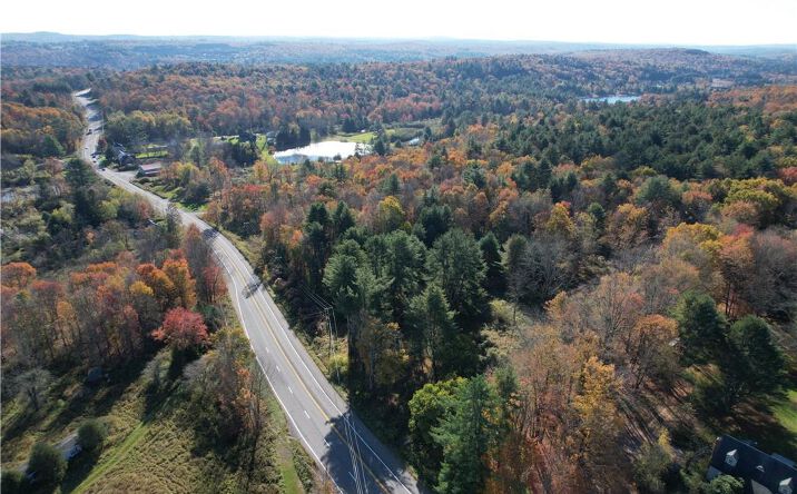 Pictures of Land property located at 1195 NYS Route 17B, Bethel, NY 12762 for sales - image #1