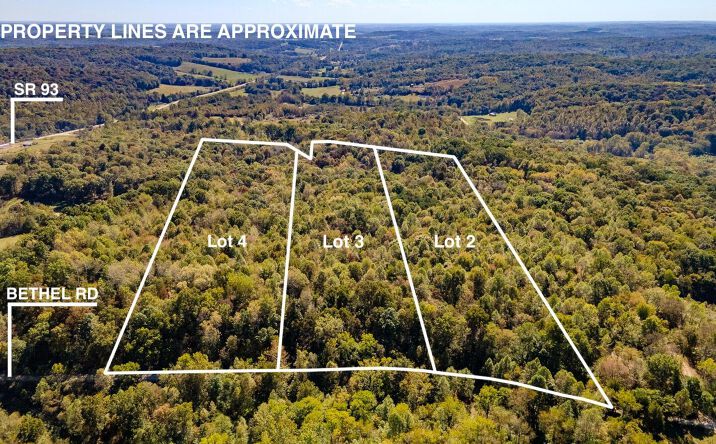 Pictures of Land property located at Parcel 3 Bethel Road, New Plymouth, OH 45654 for sales - image #1