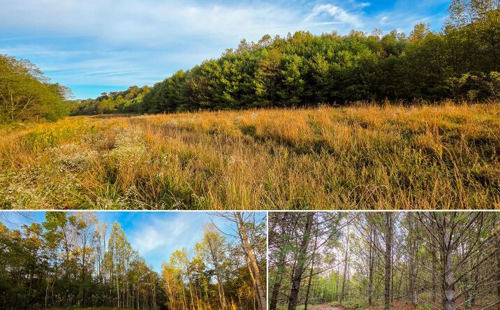 Pictures of Land property located at 7607 Township Road 216 SE #(Lot 2 at Scenic Trails), Corning, OH 43730 for sales - image #1