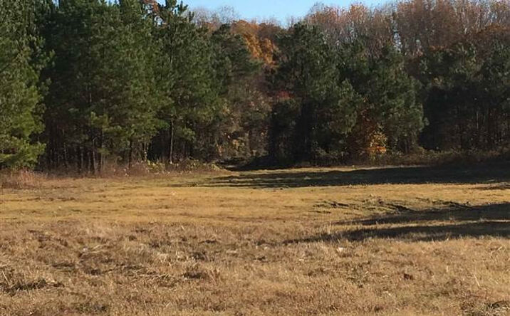 Pictures of Land property located at Old Hickory Blvd East, Jackson, TN 38305 for sales - image #1