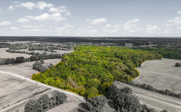 Pictures of Land property located at Harper Chapel Rd, Trenton, TN 38382 for sales - image #1