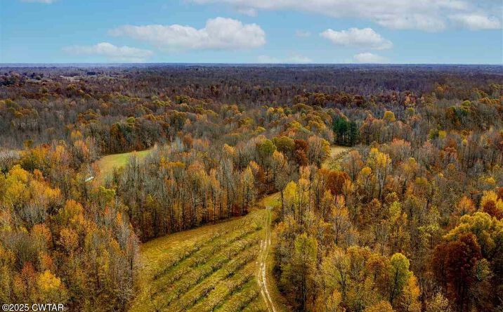 Pictures of Land property located at 4211 Old Samburg Road, Hornbeak, TN 38232 for sales - image #1