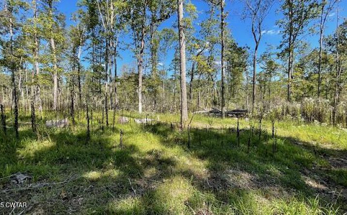 Pictures of Land property located at Harts Bridge Road and Lester Chapel Road, Jackson, TN 38301 for sales - image #1