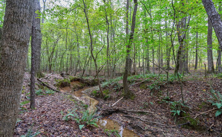 Pictures of Land property located at Wire Bridge Rd, Stephens, GA 30667 for sales - image #1