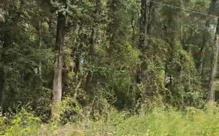 Pictures of Land property located at Sw 137 Ave, Dunnellon, FL 34432 for sales - image #1