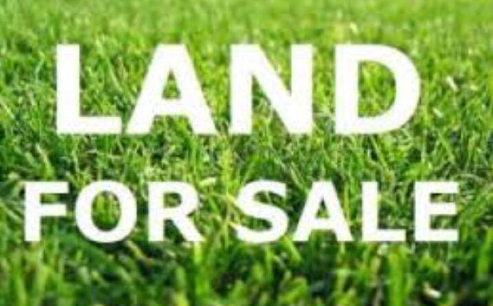 Pictures of Land property located at 219 N St Augustine, Valdosta, GA 31602 for sales - image #1