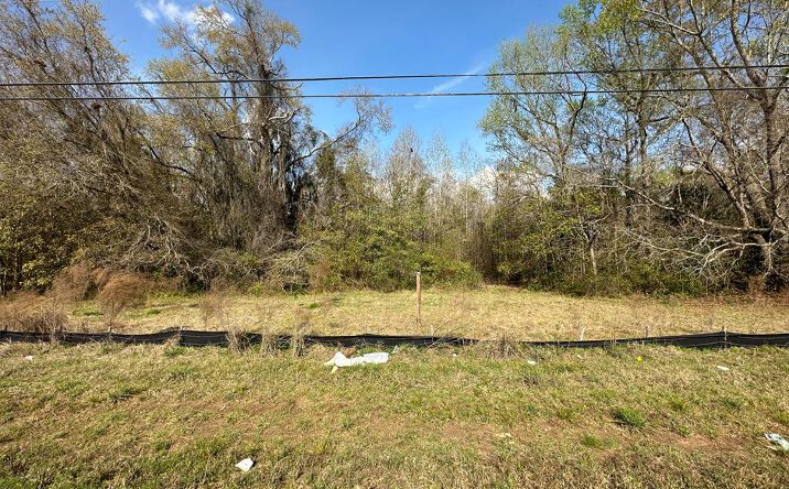 Pictures of Land property located at US-41, Valdosta, GA 30604 for sales - image #1