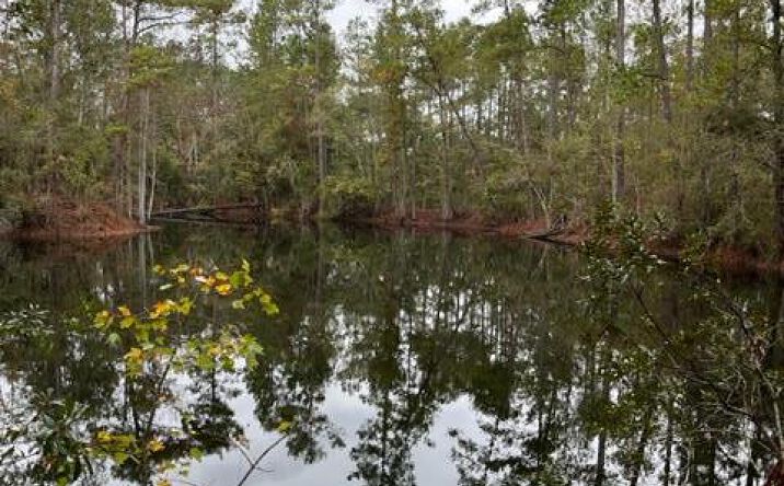 Pictures of Land property located at N Hickory Grove Road, Valdosta, GA 31602 for sales - image #1