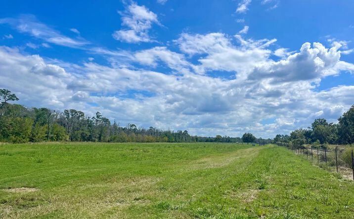 Pictures of Land property located at N Street Extension, Ray City, GA 31639 for sales - image #1