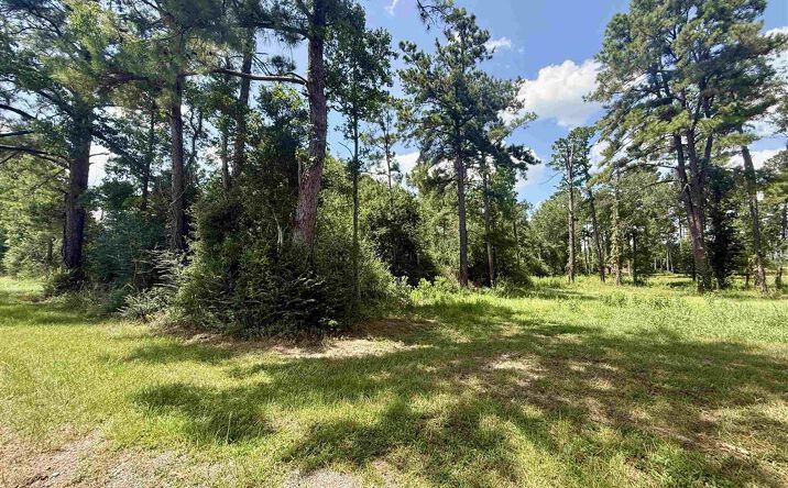 Pictures of Land property located at Bob Hayes Road, DeRidder, LA 70634 for sales - image #1