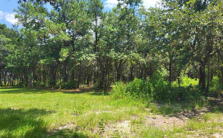 Pictures of Land property located at 5944 River Road, Lake Charles, LA 70615 for sales - image #1