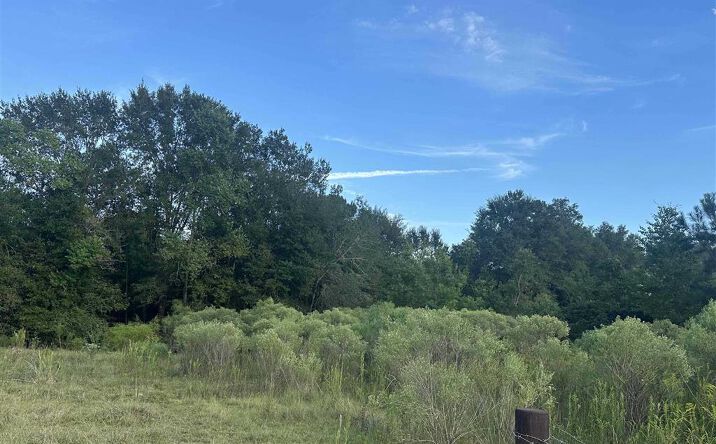 Pictures of Land property located at 5816 Topsy Bel, Ragley, LA 70657 for sales - image #1