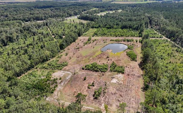 Pictures of Land property located at TBD Green Oak Cemetery Road, Kinder, LA 70648 for sales - image #1