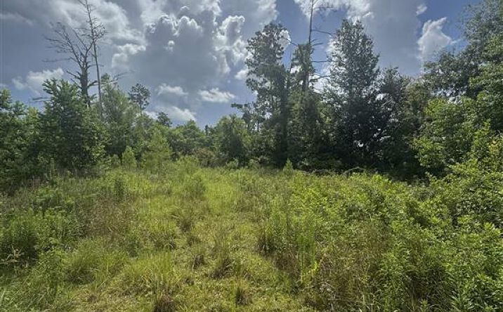Pictures of Land property located at 3740 & 3822 Dunn Ferry Road, Lake Charles, LA 70611 for sales - image #1