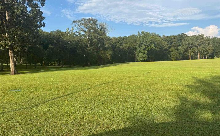 Pictures of Land property located at TBD River View Drive, Jennings, LA 70546 for sales - image #1