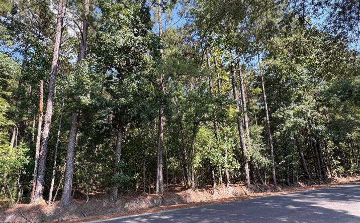 image of property at 355 SHERMAN HOUSTON RD Kinder LA 70648-5742
