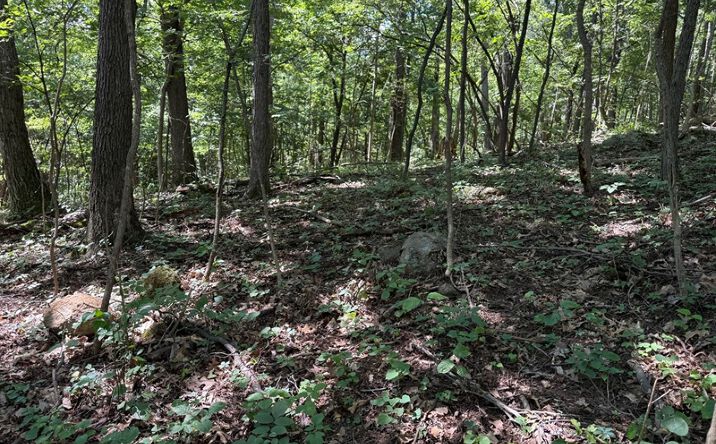 Pictures of Land property located at 95 Smedley Ln, Bentonville, VA 22610 for sales - image #1