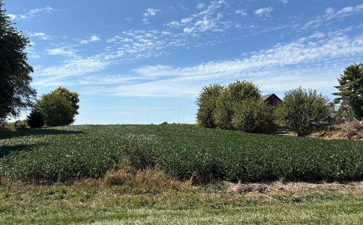 Pictures of Land property located at 33883 Winnemac Road, Richwood, OH 43344 for sales - image #1