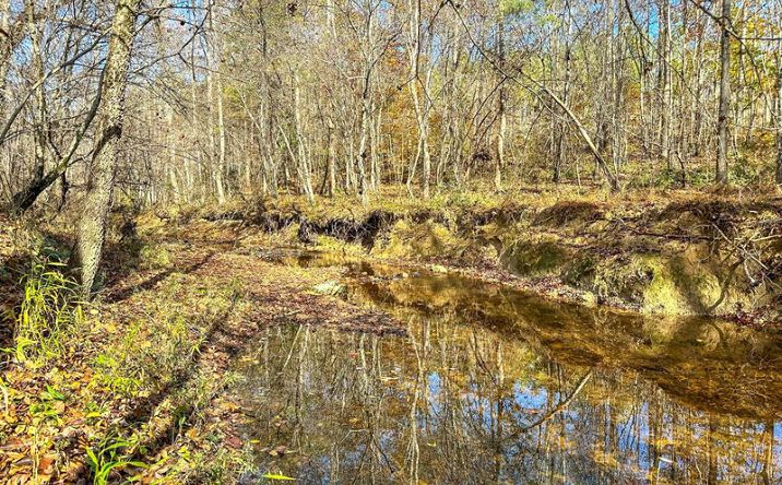 Pictures of Land property located at 364 Winston Rd, Nelson, VA 24580 for sales - image #1