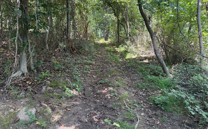 Pictures of Land property located at 93 Smedley Ln, Bentonville, VA 22610 for sales - image #1