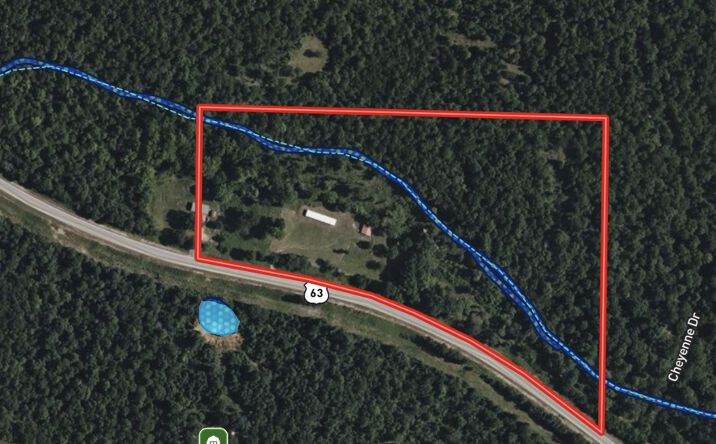 Pictures of Retail property located at 11748 Highway 63 South, Hardy, AR 72542 for sales - image #1