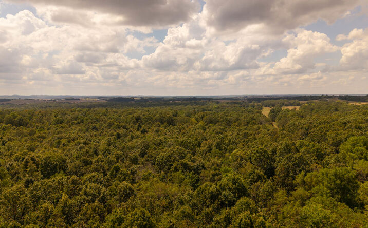 Pictures of Land property located at 000 County Rd, Koshkonong, MO 65692 for sales - image #1