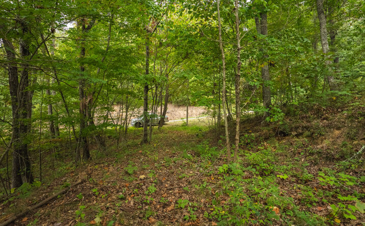 Pictures of Land property located at 170 Fire Tower Rd, Mooresburg, TN 37811 for sales - image #1