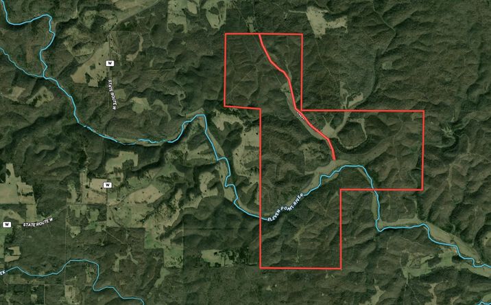 Pictures of Land property located at TBD County Road 443, Houston, MO 65483 for sales - image #1