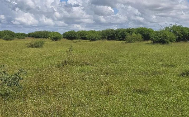 Pictures of Land property located at TBD Cemetery Road, Raymondville, TX 78580 for sales - image #1