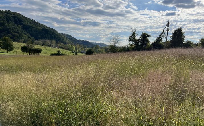 Pictures of Land property located at 112 Clarksdale Cir, Rogersville, TN 37857 for sales - image #1