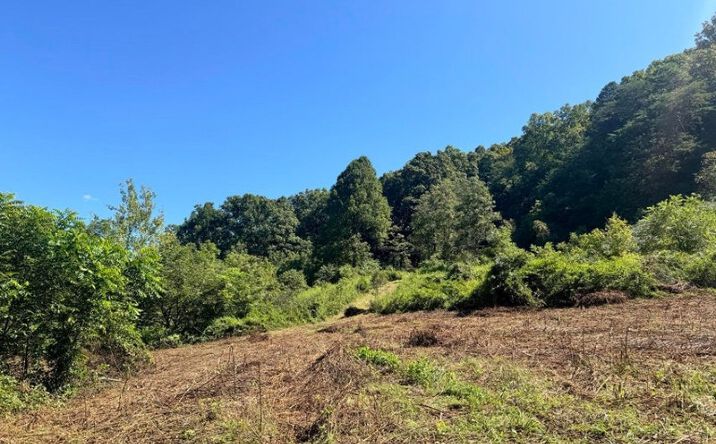 Pictures of Land property located at 7197 Tazewell Hwy, Sneedville, TN 37869 for sales - image #1