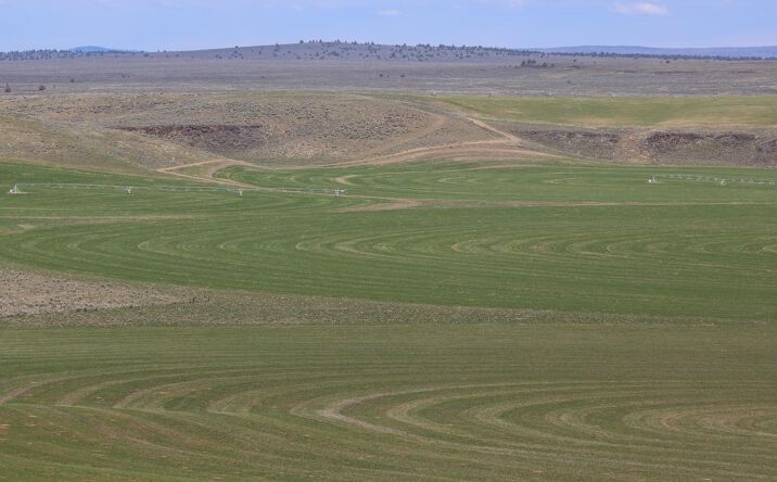 Pictures of Land property located at Off Weaver Springs Lane, Burns, OR 97720 for sales - image #1