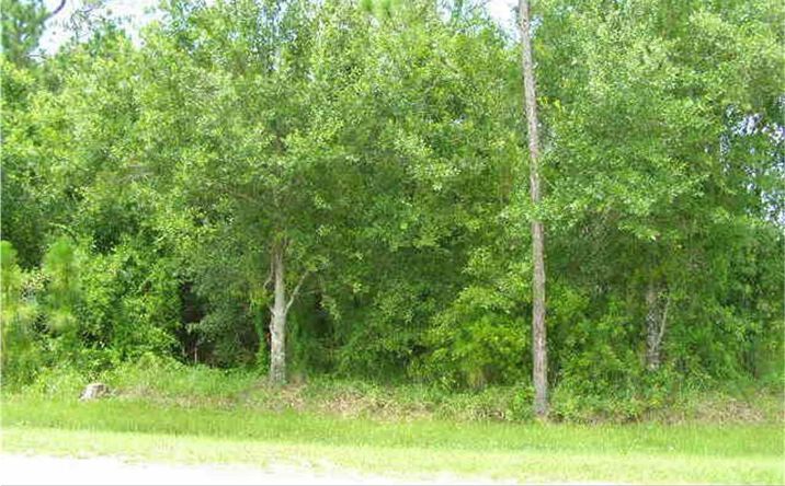 Pictures of Land property located at 6 S Cypress St, Fellsmere, FL 32948 for sales - image #1