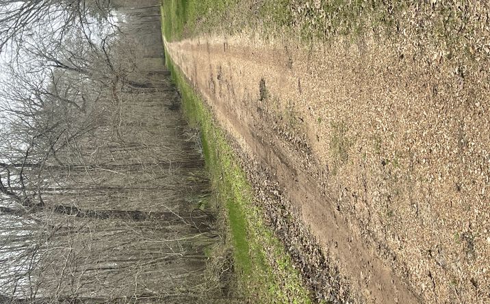 Pictures of Land property located at 264 County Road 2505, Liberty, TX 77575 for sales - image #1