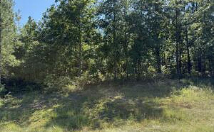 Pictures of Multifamily property located at Lot 518 Bristle Cone, Aiken, SC 29803 for sales - image #1
