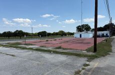 27520864