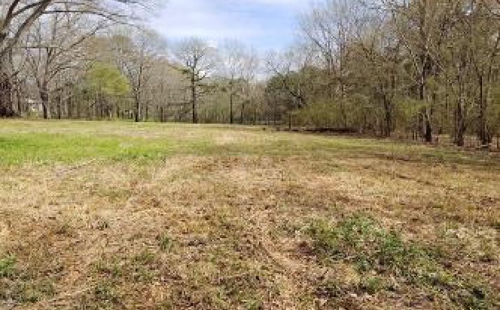 Pictures of Land property located at 3949 Hwy 80E, 70454, MS 39208 for sales - image #1